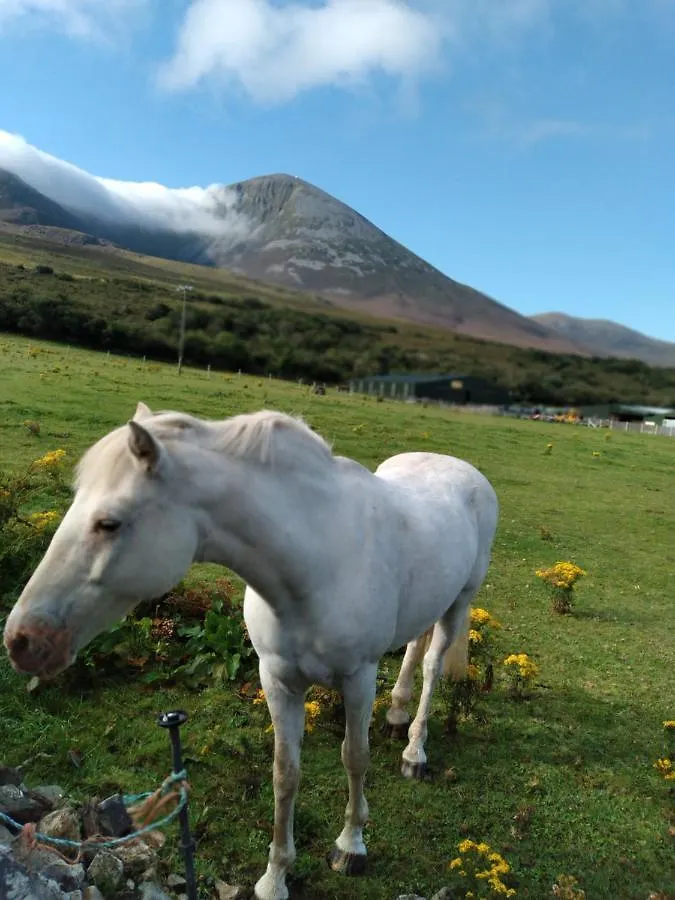 Elmgrove Apartment , Croagh Patrick Westport Irland