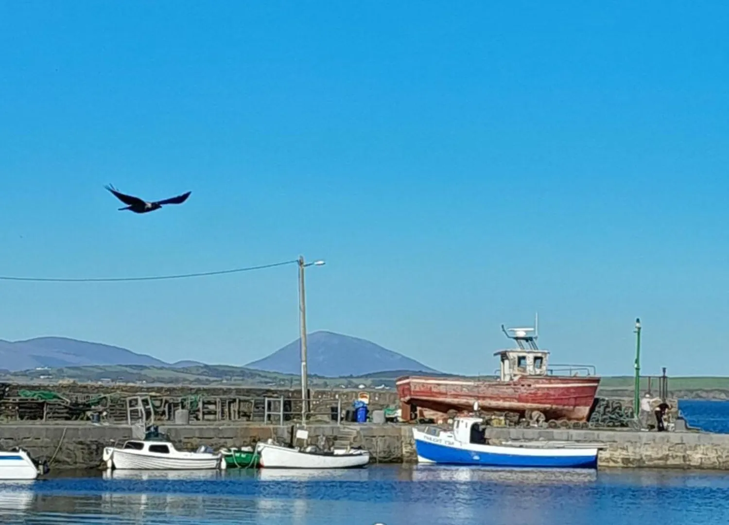 Elmgrove Apartment , Croagh Patrick Westport Irland