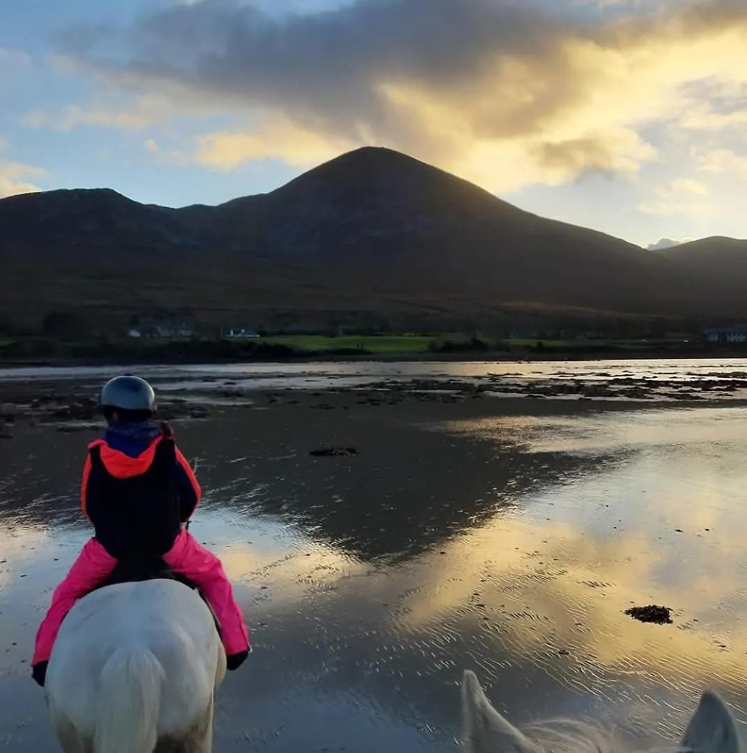 Elmgrove Apartment , Croagh Patrick Westport
